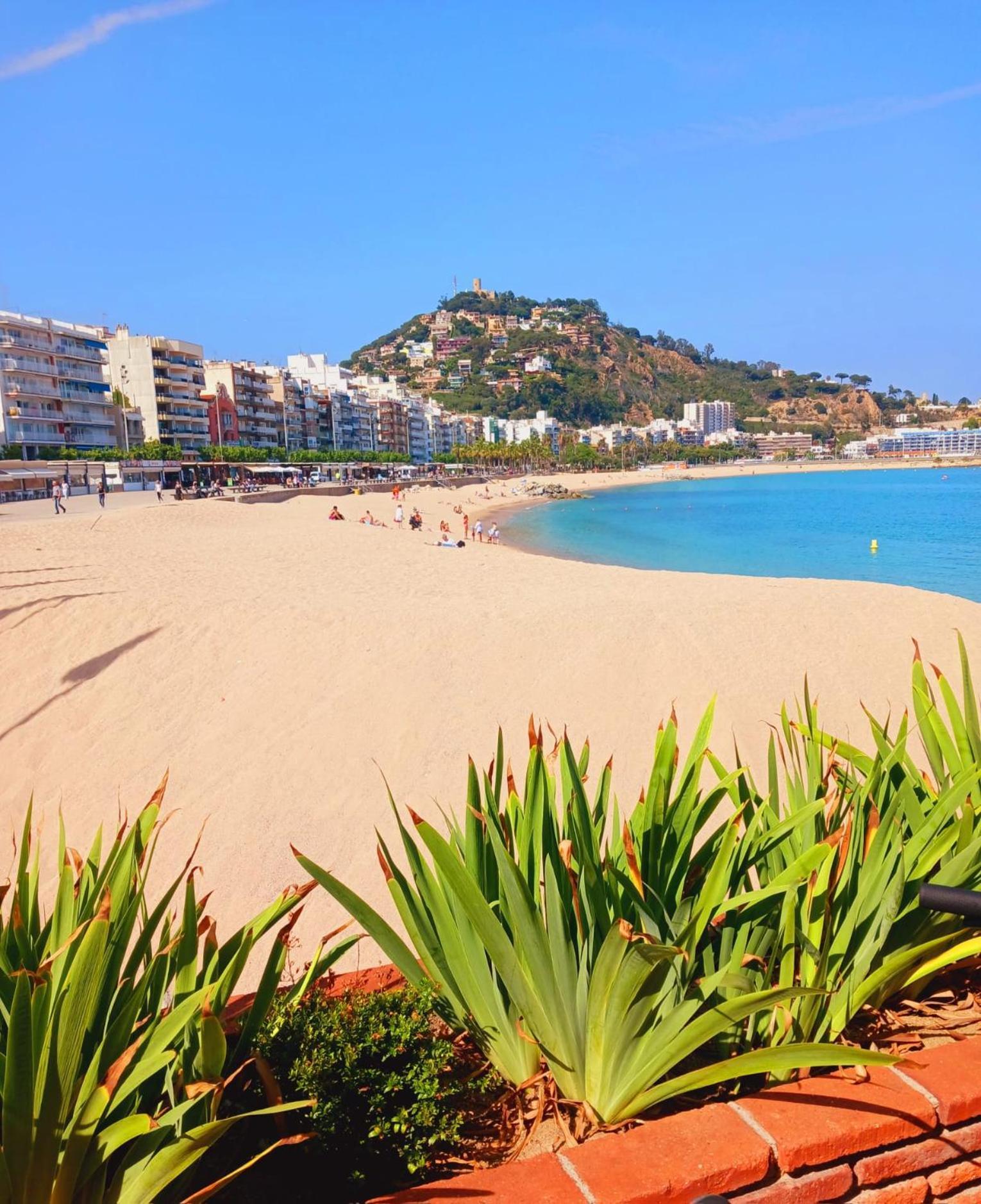 Apartment 2 Bedroom Large Modern In Old Town 50m From The Beach!